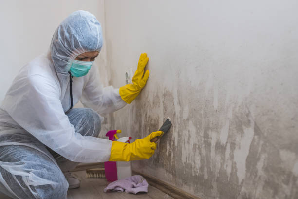 Best Residential Mold Removal  in Leonardo, NJ