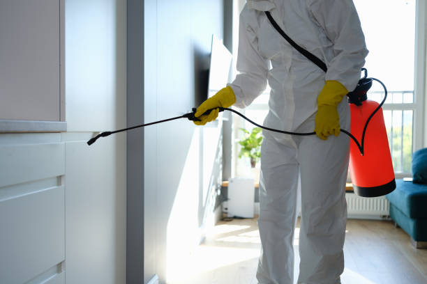 Best Local Mold Removal Service  in Leonardo, NJ