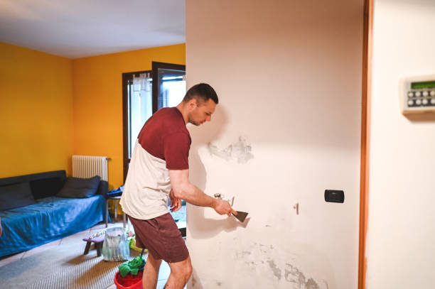Best Certified Mold Removal  in Leonardo, NJ